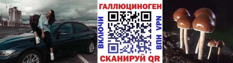 Галлюциногенные грибы Cubensis  Купить где  Котельниково 